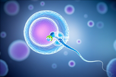 精子不好可以做试管婴儿吗？专家教你如何养精子助好孕