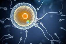 吉林大学第一医院三代试管婴儿费用组成？影响试管成功率的因素有哪些？