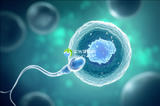 重庆试管助孕咨询公司(重庆市从事三代试管助孕生孩子机构大全)
