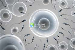 2025年长沙试管婴儿全程费用明细及预算