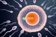 山东潍坊三大助孕机构-潍坊市三代试管助孕哪家机构比较好
