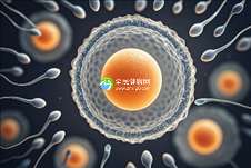 天门正规助孕机构综合排名（2025年最新版本）