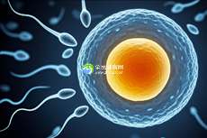 试管婴儿对男方精子的要求请注意好这些