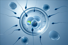 2025佐治亚州三代试管婴儿成功率高的医院怎么样？该医疗机构排名