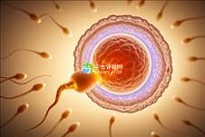 新疆助孕公司排名如何_乌鲁木齐三大助孕公司是哪三个