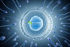 老公精子质量差可以做试管婴儿吗？会不会影响胎儿的健康？