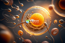 汕头助孕的医院三代试管婴儿医院靠谱吗？