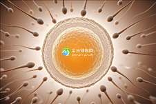 邢台市三院做试管使用的设备仪器是进口的吗？