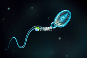 泰国拉拉生子试管机构，如何选择？