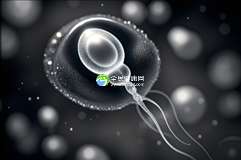 2025合肥能助孕生子的私立机构有吗？附试管生多胞胎收费清单