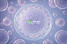 2025年染色体异常去漯河市中心医院做试管的详细流程和检查项目有哪些？