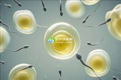输卵管堵塞做试管成功率高吗？输卵管不通影响试管婴儿成功率吗？