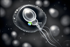 2025合肥能助孕生子的私立机构有吗？附试管生多胞胎收费清单