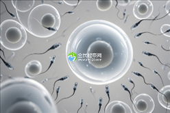 潍坊地区三大助孕机构，这几家公司联系方式值得收藏