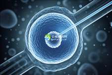 2025年美国杰特宁三代试管婴儿收费标准及费用一览