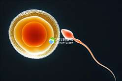 速览常德试管之路：妇幼保健院全流程与成功率揭秘