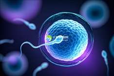 2025郑州试管婴儿成功率排名前十的医院有哪些？