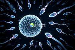 乐山三代试管婴儿手术费用详单及手术选择指南