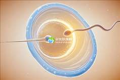浙江试管助孕医院有哪些？2025浙江试管婴儿试管助孕医院名单推荐