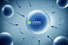 大连私人试管医院排名前十推荐（2025大连市试管私立医院排名靠前的有哪些）
