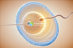 多囊闭了经可以做试管吗？多囊卵巢适合做几代试管？
