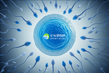 保定三代试管婴儿流程是什么？三代试管流程