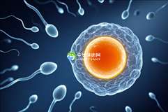 美国做三代试管费用主要包括哪些？