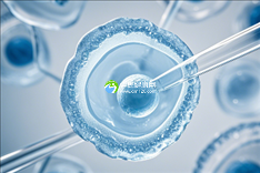 泰国第三代试管婴儿价格多少？
