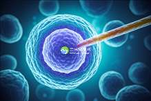 2025年没有精子去银川做精子试管的成功率有多高？