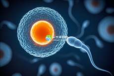 泰国三代试管婴儿费用多少？提前了解清楚