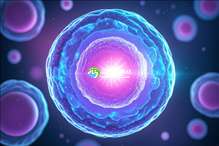 2025年福州试管婴儿私立医院排行榜，最新排名汇总！