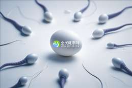 2025年单身女性在宜春市人民医院做试管可以成功吗？成功率高吗？
