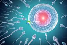 2025广东深圳助孕机构推荐哪几家？排名前5家费用+成功率，一次性公布！