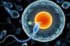 试管婴儿移植怀孕后宝宝有没有可能是葡萄胎？