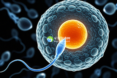 试管婴儿移植怀孕后宝宝有没有可能是葡萄胎？