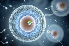 2025年染色体异常去海口做三代试管要多少钱呀？附试管婴儿收费价目表