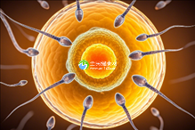HIV患者为何不建议做试管婴儿，遗传风险非唯一考量因素