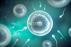 马来西亚三代试管婴儿价格多少钱？