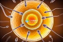 HIV患者为何不建议做试管婴儿，遗传风险非唯一考量因素