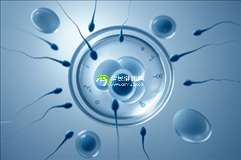 2025年卵巢早衰可以去贵州省人民医院做三代试管吗？需要花费多少钱？