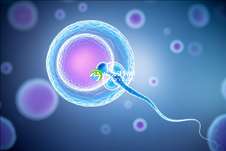 未婚卵巢早衰在南通有救吗？2025三代试管卵子激活技术费用揭秘