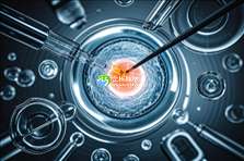 2025年艾滋病患者去OAK做三代试管的成功率有多高？该如何做试管