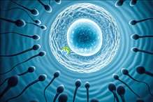 2025年没有精子去漳州做精子试管的成功率有多高？