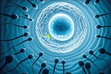 2025年没有精子去漳州做精子试管的成功率有多高？