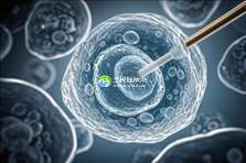 2025年乌克兰没有精子三代试管婴儿全攻略，从准备到成功，一站式指南