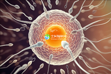 2025年去没有精子捷克做精子试管可以吗？成功率有多高？