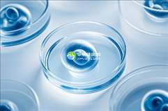 2025年泰国试管婴儿机构最新排名，助你选择最合适的医院
