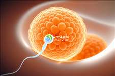 2025年没有精子去景德镇做精子试管可以吗？详细费用是怎么样的？
