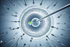 2025年潍坊市有哪些私立机构可以做试管婴儿助孕？
