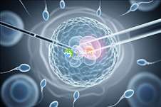 2025年去没有精子日本做试管婴儿大概要多少钱？